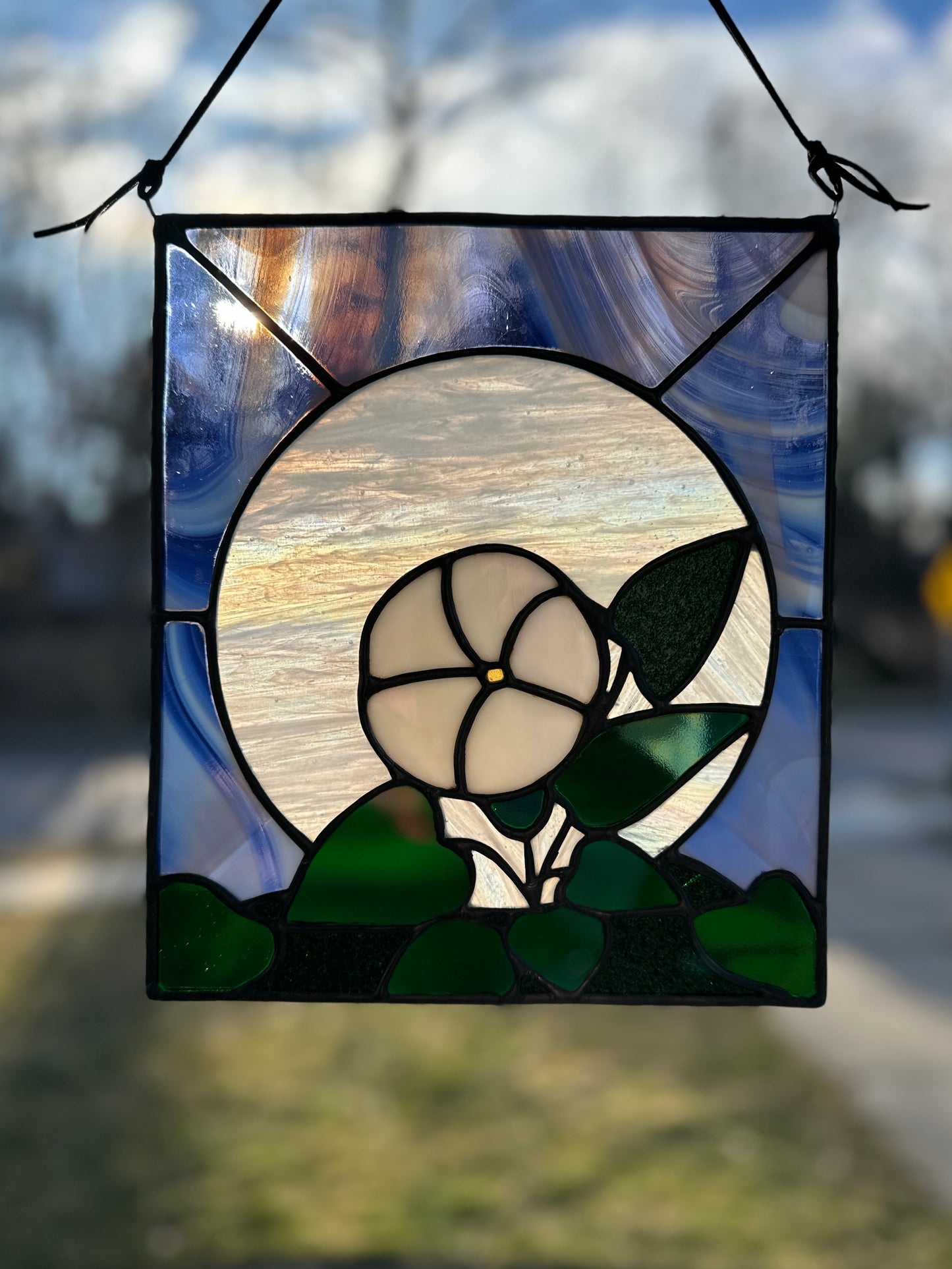 Moonflower