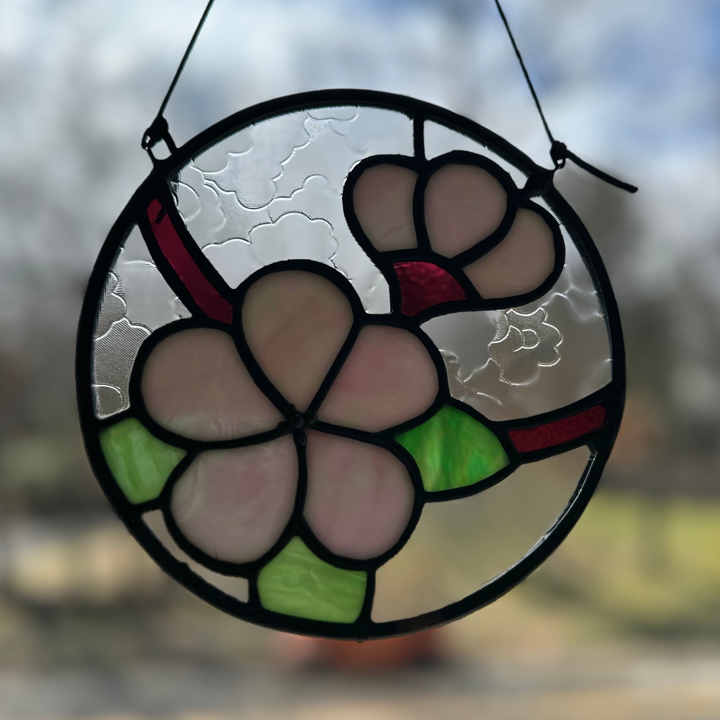 Cherry Blossoms