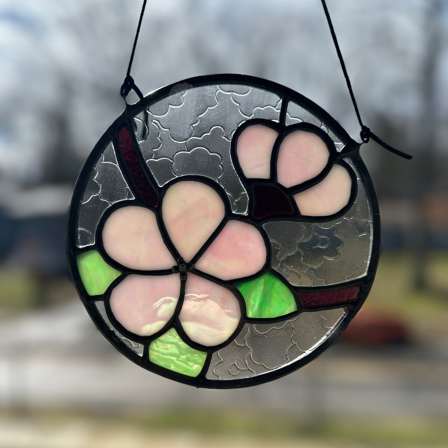 Cherry Blossoms
