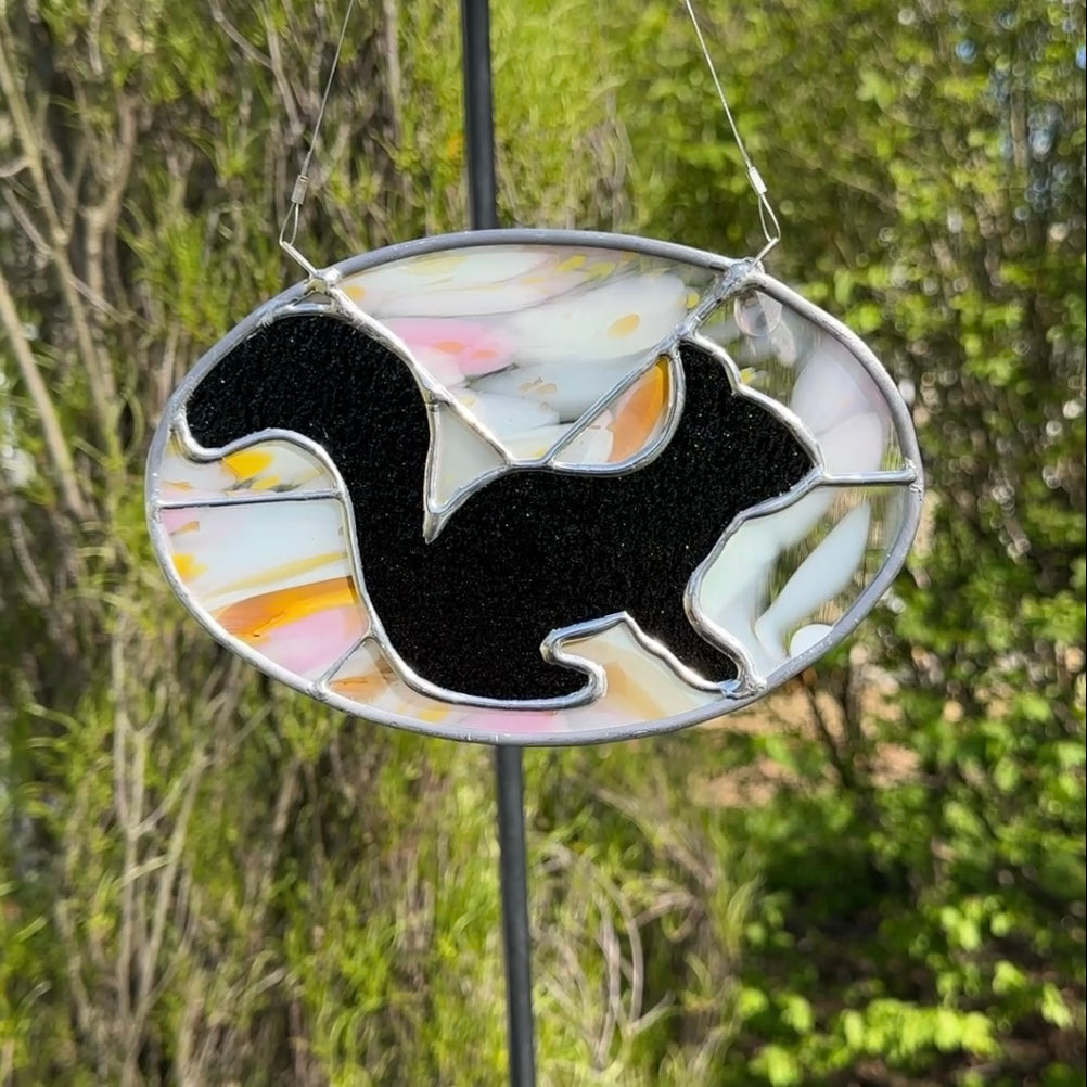 Black Squirrel