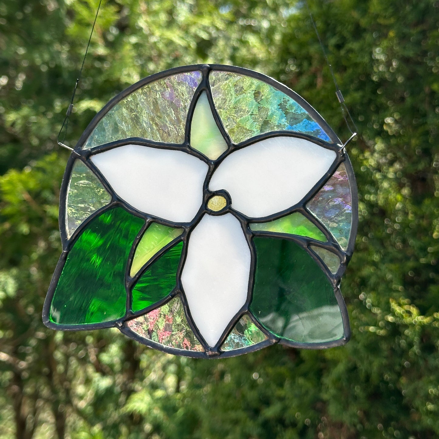 Trillium- white