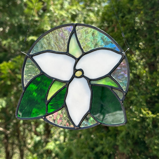 Trillium- white